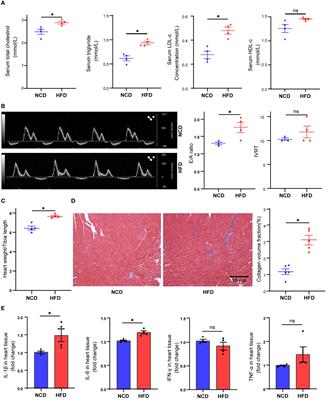 Modulation of cardiac resident macrophages immunometabolism upon high-fat-diet feeding in mice